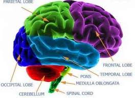 Who has a brain disorder?